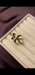 Stainless steel Ring