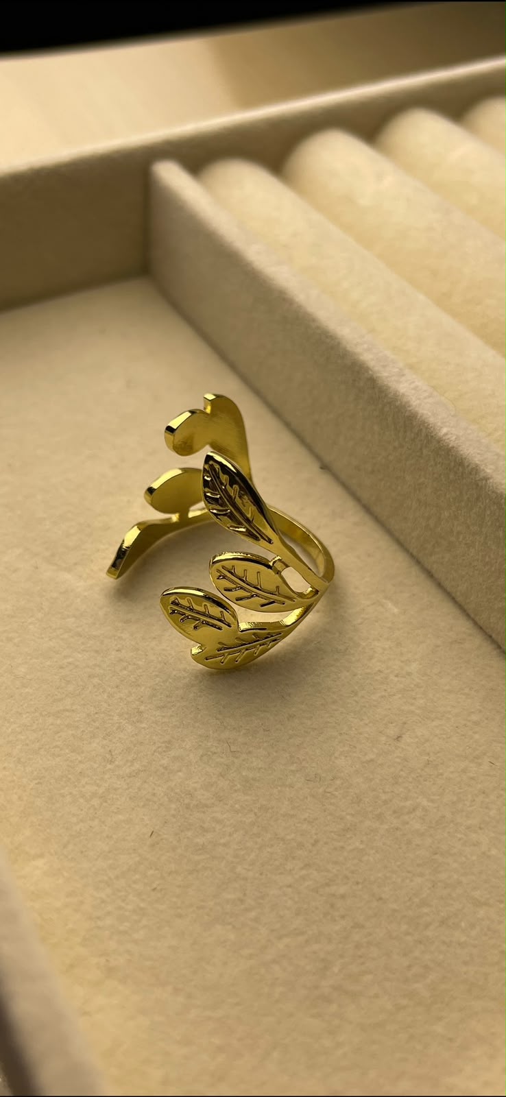 Stainless steel ring
