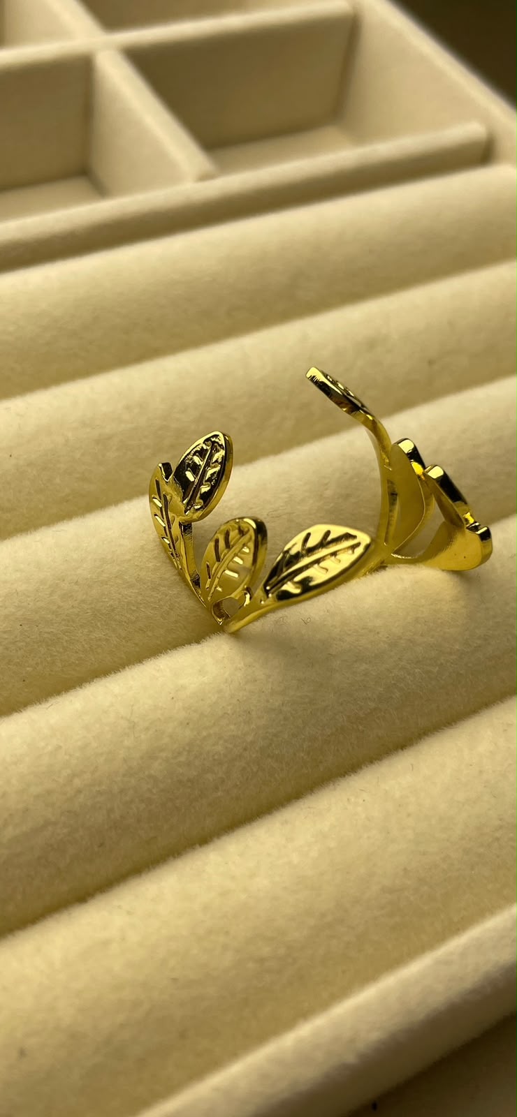Stainless steel ring