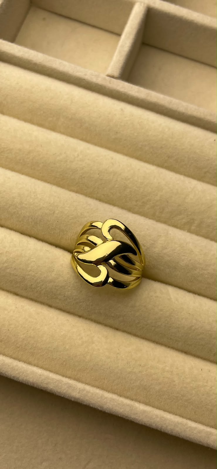 Stainless steel ring