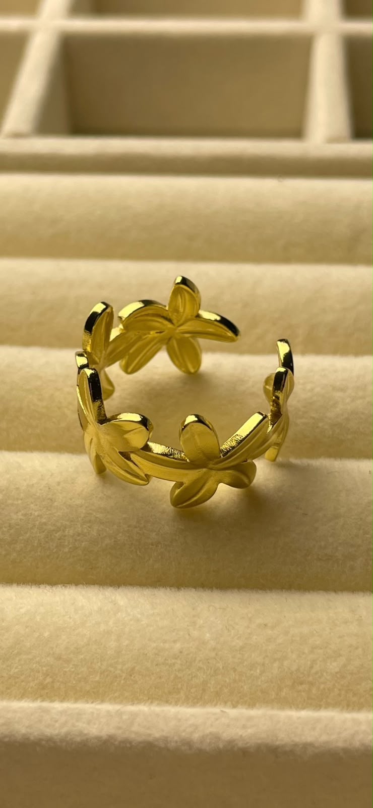 Stainless steel ring
