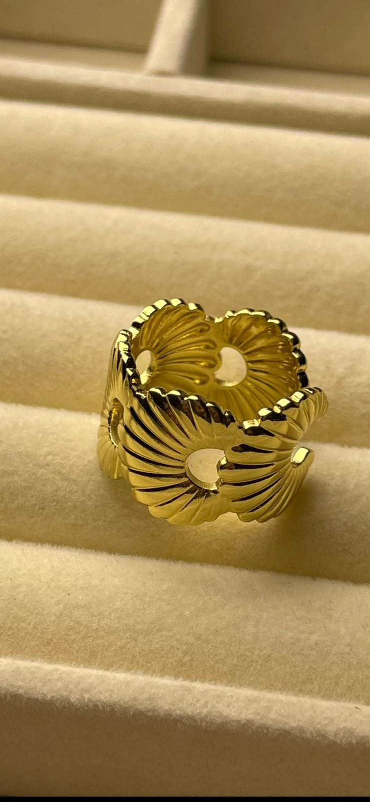 Stainless steel ring