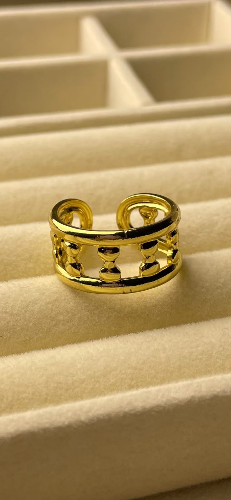Stainless steel ring
