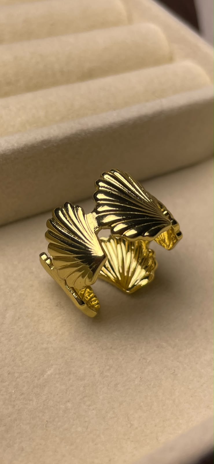 Stainless steel ring