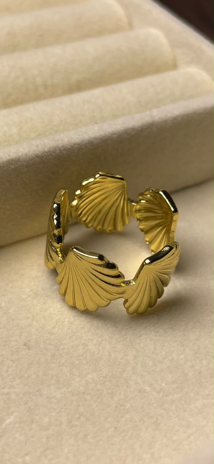 Stainless steel ring