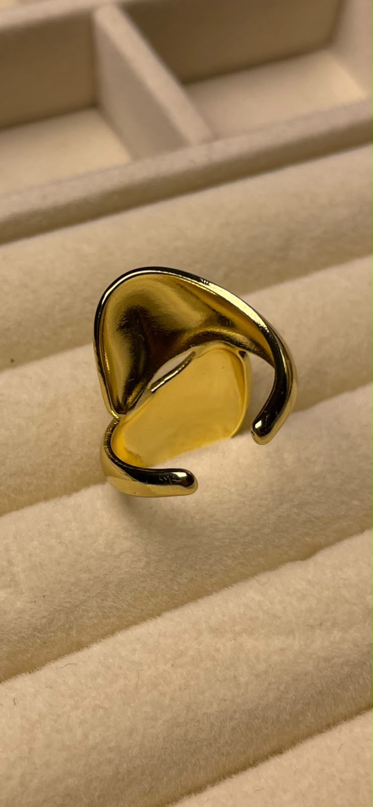 Stainless steel ring